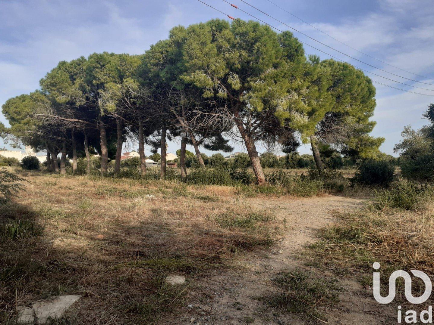 Land in Cambrils, Tarragona, Spanien 21004 m2 Nr. 173374