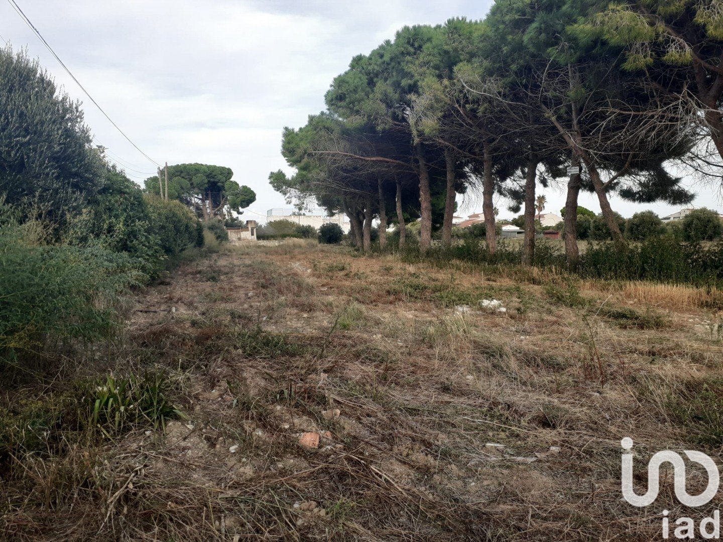 Land in Cambrils, Tarragona, Spanien 21004 m2 Nr. 173374