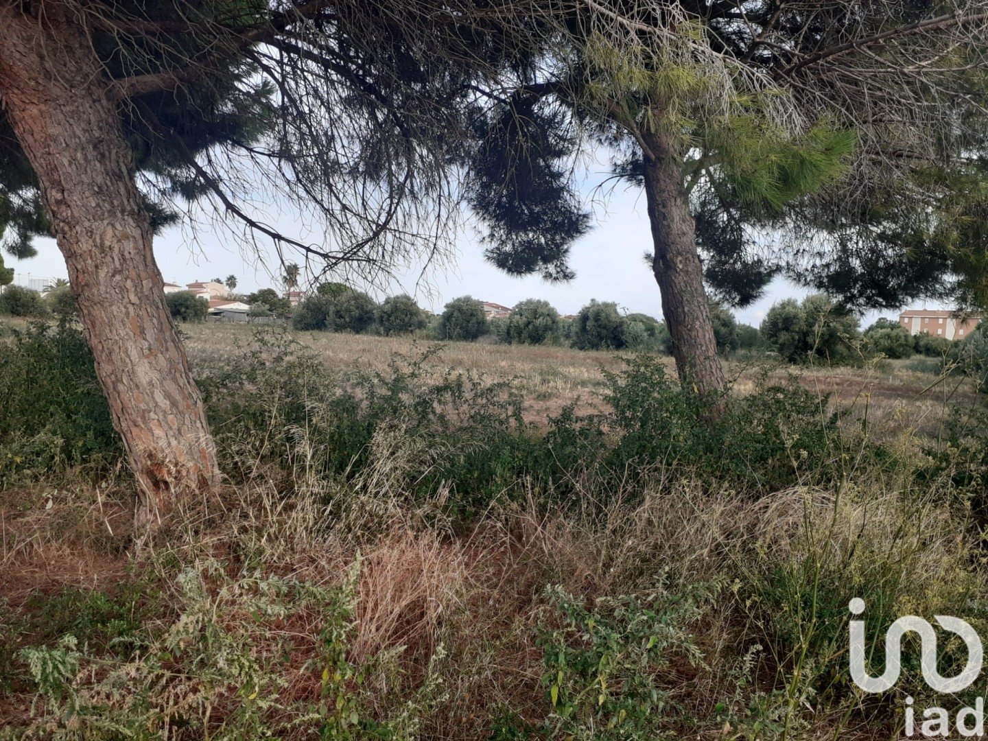 Land in Cambrils, Tarragona, Spanien 21004 m2 Nr. 173374