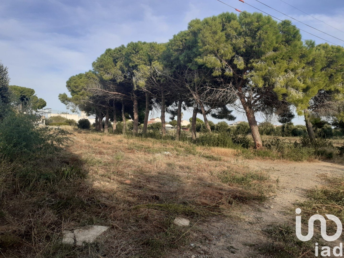Land in Cambrils, Tarragona, Spanien 21004 m2 Nr. 173374