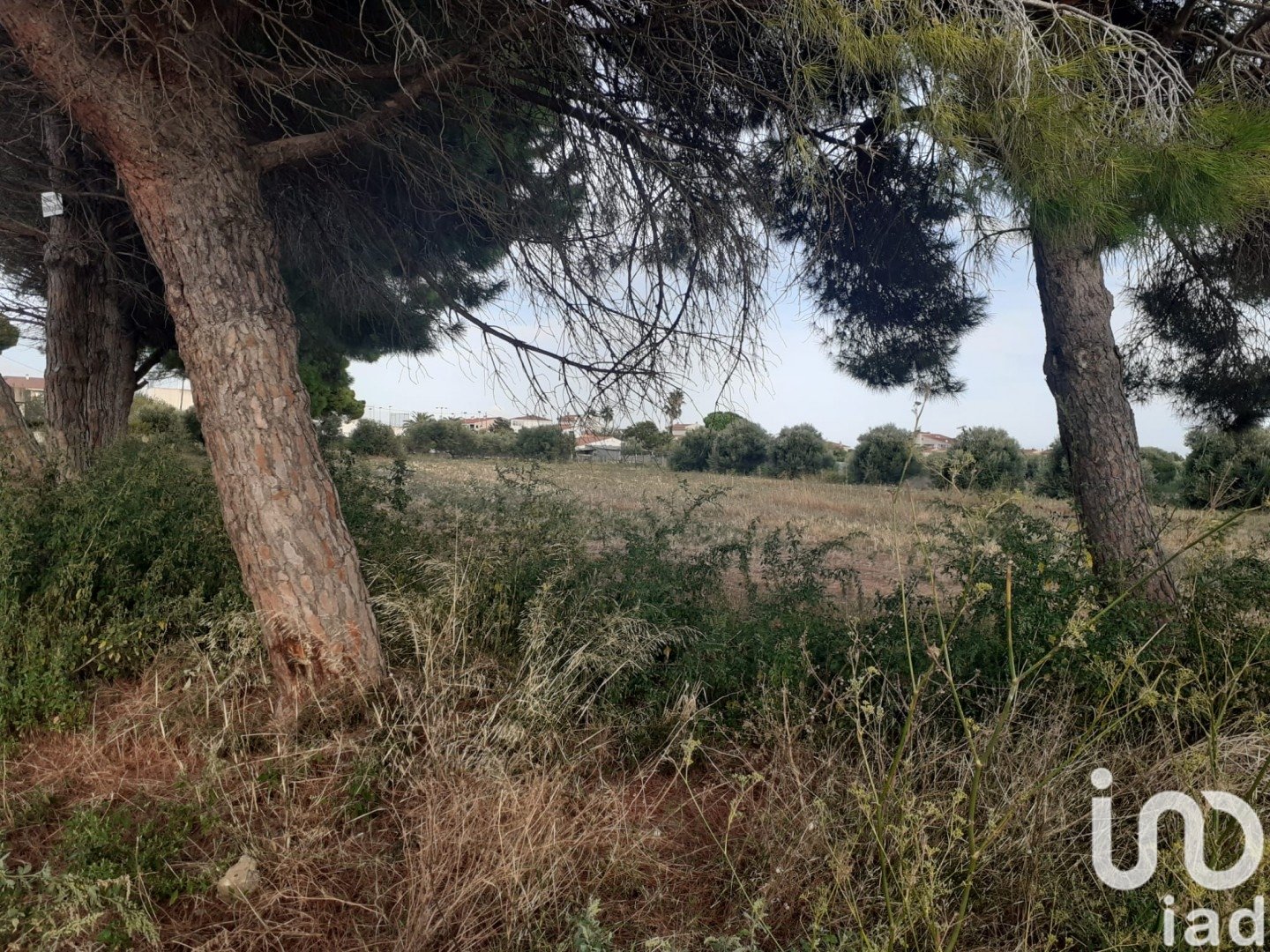 Land in Cambrils, Tarragona, Spanien 21004 m2 Nr. 173374