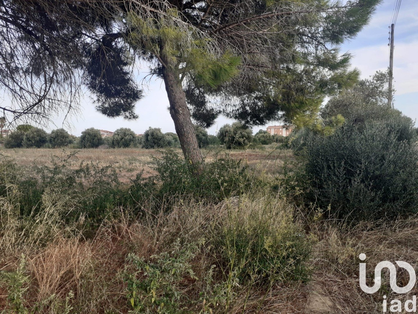 Land in Cambrils, Tarragona, Spanien 21004 m2 Nr. 173374