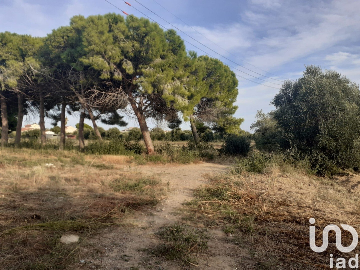 Land in Cambrils, Tarragona, Spanien 21004 m2 Nr. 173374
