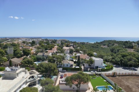 Apartamento en venta en Dehesa De Campoamor, Alicante, España 2 dormitorios, 104 m2 No. 189205 - foto 23