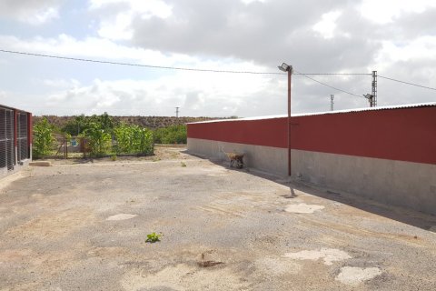 Finca zum Verkauf in Los Montesinos, Alicante, Spanien 2 Schlafzimmer, 253 m2 Nr. 189207 - Foto 13