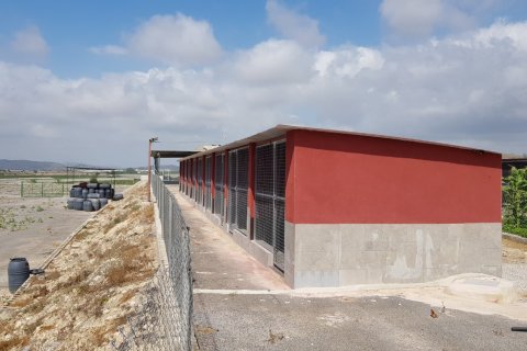 Finca zum Verkauf in Los Montesinos, Alicante, Spanien 2 Schlafzimmer, 253 m2 Nr. 189207 - Foto 14