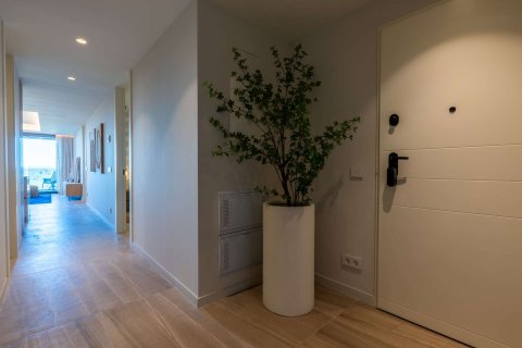 Apartment for sale in Guardamar del Segura, Alicante, Spain 3 bedrooms, 116.6 sq.m. No. 182417 - photo 15