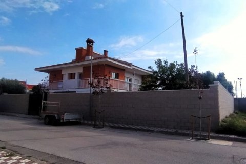 Talo Riba-roja d'Ebre, Tarragona, Espanja 4 makuuhuonetta, 350 m2 No. 153730