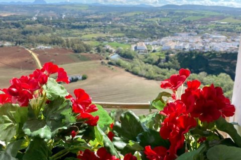 Komerciāls īpašums Arcos de la Frontera, Cadiz, Spānijā 320 m2 Nr. 153732