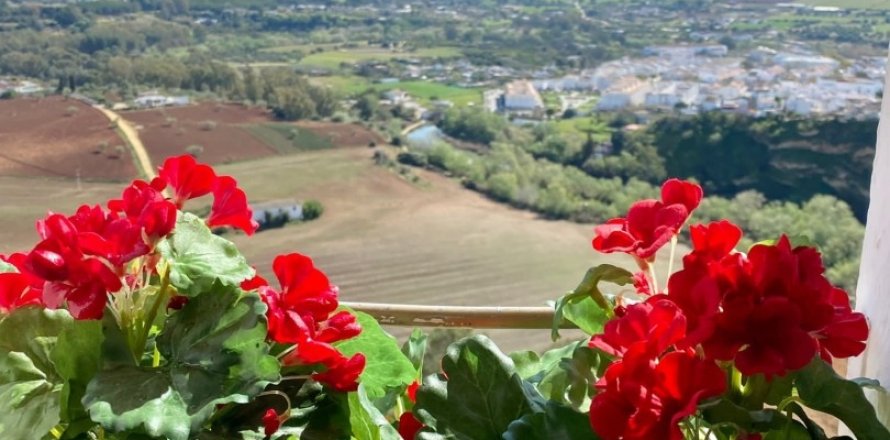 Liikekiinteistö Arcos de la Frontera, Cadiz, Espanja 320 m2 No. 153732