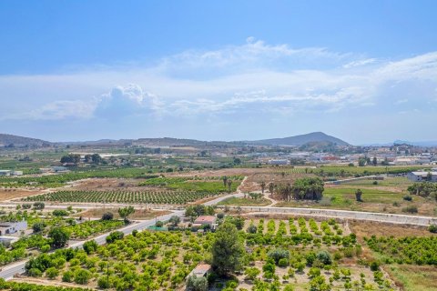 Appartamento in vendita a Jacarilla, Alicante, Spagna 3 camere da letto, 74 mq. N° 141865 - foto 27