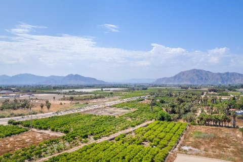 Appartamento in vendita a Jacarilla, Alicante, Spagna 3 camere da letto, 74 mq. N° 141865 - foto 26