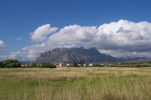Villa in vendita Denia, Alicante, Spagna 3 camere da letto, 140 mq. N° 78754 - foto 17