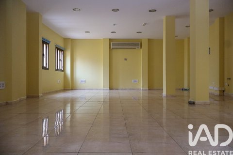 Lokal usługowy w San Cristobal de La Laguna, Tenerife, Hiszpania 8 sypialni, 600 mkw. nr 154317 – zdjęcie 16