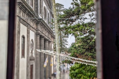 Lokal usługowy w San Cristobal de La Laguna, Tenerife, Hiszpania 8 sypialni, 600 mkw. nr 154317 – zdjęcie 19