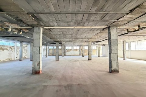 Lokal usługowy w Torrevieja, Alicante, Hiszpania 2800 mkw. nr 177532 – zdjęcie 24