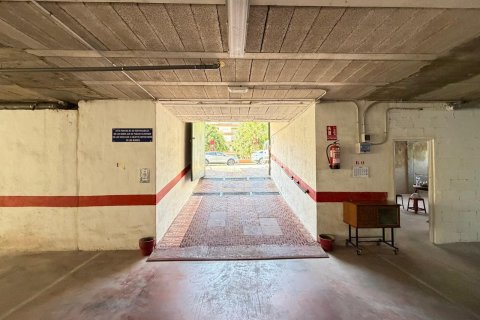 Lokal usługowy w Torrevieja, Alicante, Hiszpania 2800 mkw. nr 177532 – zdjęcie 6