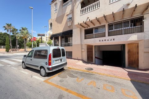 Lokal usługowy w Torrevieja, Alicante, Hiszpania 2800 mkw. nr 177532 – zdjęcie 2