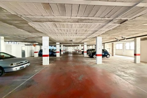 Lokal usługowy w Torrevieja, Alicante, Hiszpania 2800 mkw. nr 177532 – zdjęcie 12