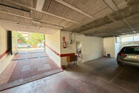 Lokal usługowy w Torrevieja, Alicante, Hiszpania 2800 mkw. nr 177532 – zdjęcie 7