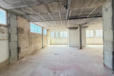 Lokal usługowy w Torrevieja, Alicante, Hiszpania 2800 mkw. nr 177532 – zdjęcie 29