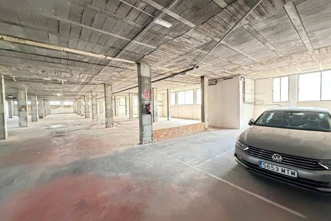 Lokal usługowy w Torrevieja, Alicante, Hiszpania 2800 mkw. nr 177532 – zdjęcie 21