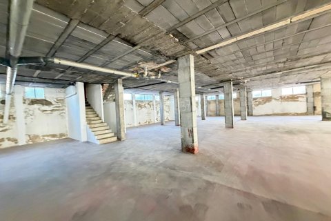 Lokal usługowy w Torrevieja, Alicante, Hiszpania 2800 mkw. nr 177532 – zdjęcie 25