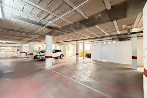 Lokal usługowy w Torrevieja, Alicante, Hiszpania 2800 mkw. nr 177532 – zdjęcie 16