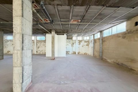 Lokal usługowy w Torrevieja, Alicante, Hiszpania 2800 mkw. nr 177532 – zdjęcie 28