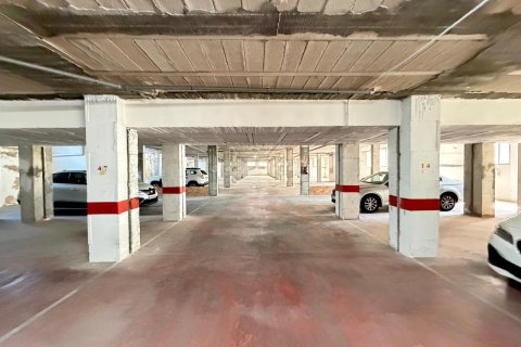 Lokal usługowy w Torrevieja, Alicante, Hiszpania 2800 mkw. nr 177532 – zdjęcie 19
