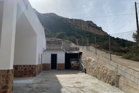 Finca pārdošanā Barrio De La Estacion De Crevillente, Alicante, Spānijā 4 istabas, 150 m2 Nr. 189866 - attēls 24