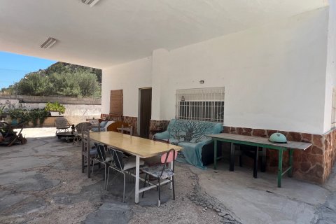 Finca pārdošanā Barrio De La Estacion De Crevillente, Alicante, Spānijā 4 istabas, 150 m2 Nr. 189866 - attēls 10