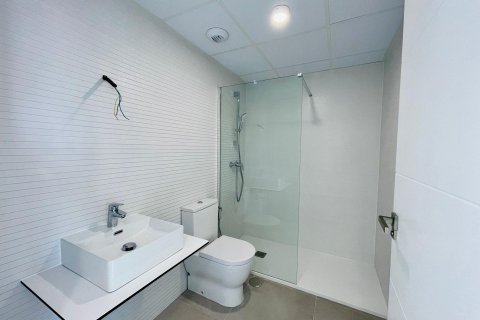 Продажа квартиры в Дехеса де Кампоамор, Аликанте, Испания 2 спальни, 97м2 №116987 - фото 22