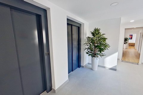 Appartamento in vendita a Benidorm, Alicante, Spagna 2 camere da letto, 228 mq. N° 149198 - foto 11