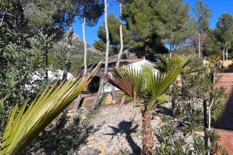 Hotelli myytävänä Finestrat, Alicante, Espanja, 12 makuuhuonetta, 800 m2 No. 149199 - kuva 26