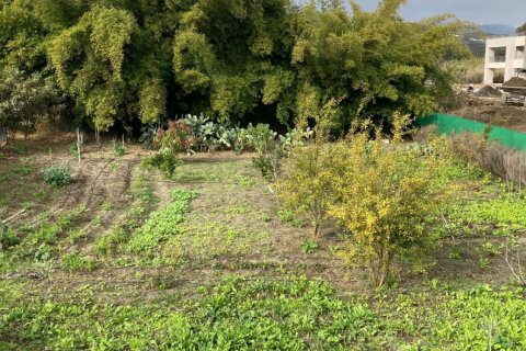 Działka w Casares, Malaga, Hiszpania 2450 mkw. nr 152755 – zdjęcie 6