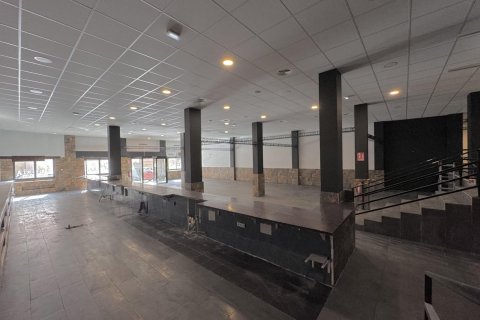 Продажа коммерческой недвижимости Торревьеха, Аликанте, Испания 780м2 №139861 - фото 9