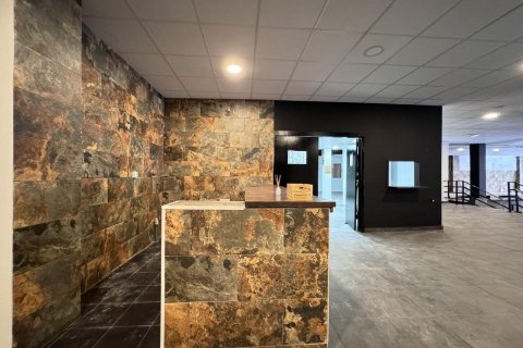 Продажа коммерческой недвижимости Торревьеха, Аликанте, Испания 780м2 №139861 - фото 30