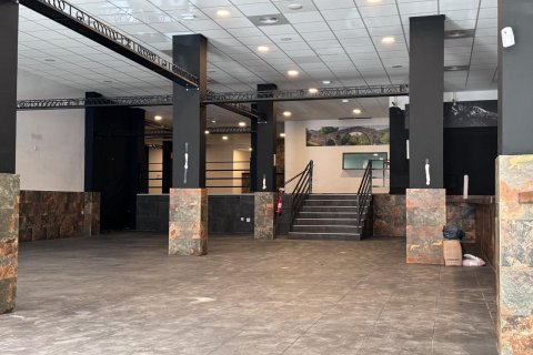 Продажа коммерческой недвижимости Торревьеха, Аликанте, Испания 780м2 №139861 - фото 14