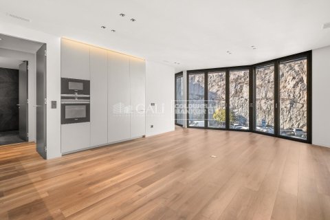 Huoneisto Principado De Andorra (Ninguna Poblacion Tiene C.P.), Lleida, Espanja 3 makuuhuonetta, 110 m2 No. 160069