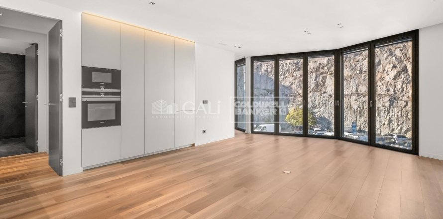 Wohnung in Principado De Andorra (Ninguna Poblacion Tiene C.P.), Lleida, Spanien 3 Schlafzimmer, 110 m2 Nr. 160069