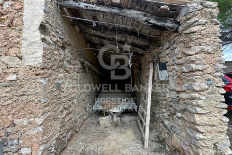 House for sale in Arta, Mallorca, Spain 5 bedrooms, 501 sq.m. No. 160066 - photo 8
