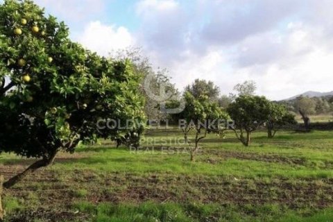 Dom w Arta, Mallorca, Hiszpania 5 sypialni, 501 mkw. nr 160066 – zdjęcie 27