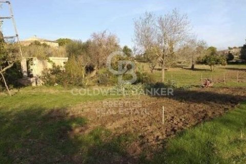 House for sale in Arta, Mallorca, Spain 5 bedrooms, 501 sq.m. No. 160066 - photo 24