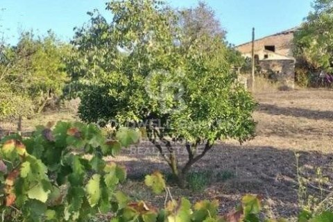 House for sale in Arta, Mallorca, Spain 5 bedrooms, 501 sq.m. No. 160066 - photo 22