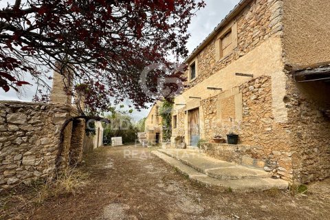 House for sale in Arta, Mallorca, Spain 5 bedrooms, 501 sq.m. No. 160066 - photo 2