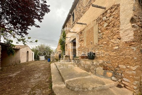 House for sale in Arta, Mallorca, Spain 5 bedrooms, 501 sq.m. No. 160066 - photo 19