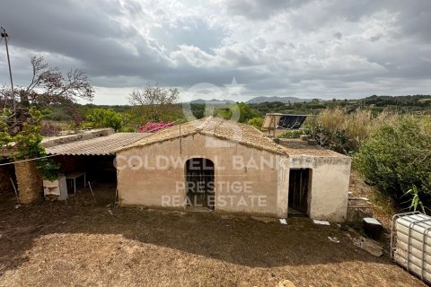 Dom w Arta, Mallorca, Hiszpania 5 sypialni, 501 mkw. nr 160066 – zdjęcie 5