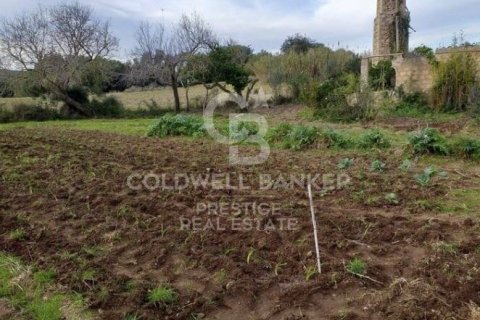 House for sale in Arta, Mallorca, Spain 5 bedrooms, 501 sq.m. No. 160066 - photo 27