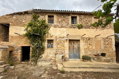Talo Arta, Mallorca, Espanja 5 makuuhuonetta, 501 m2 No. 160066